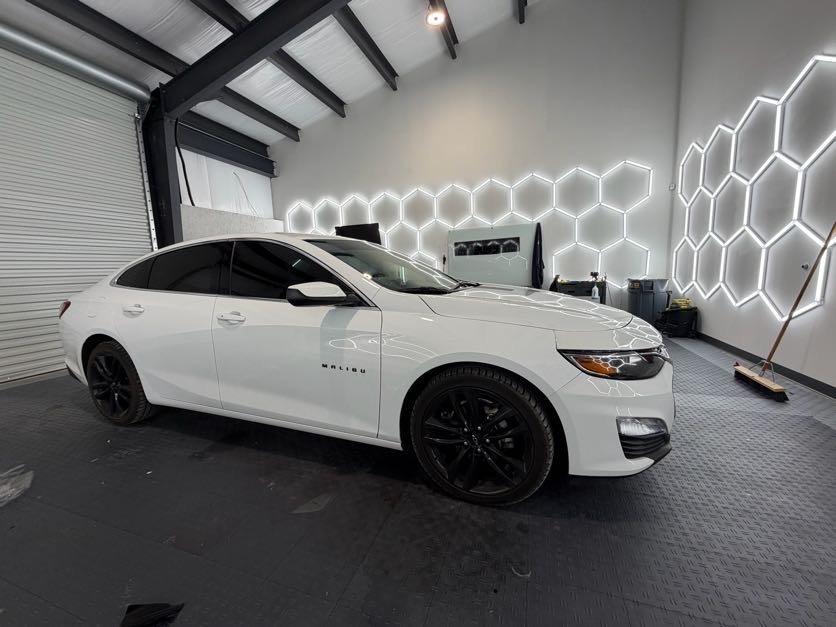 Chevrolet Malibu window tint